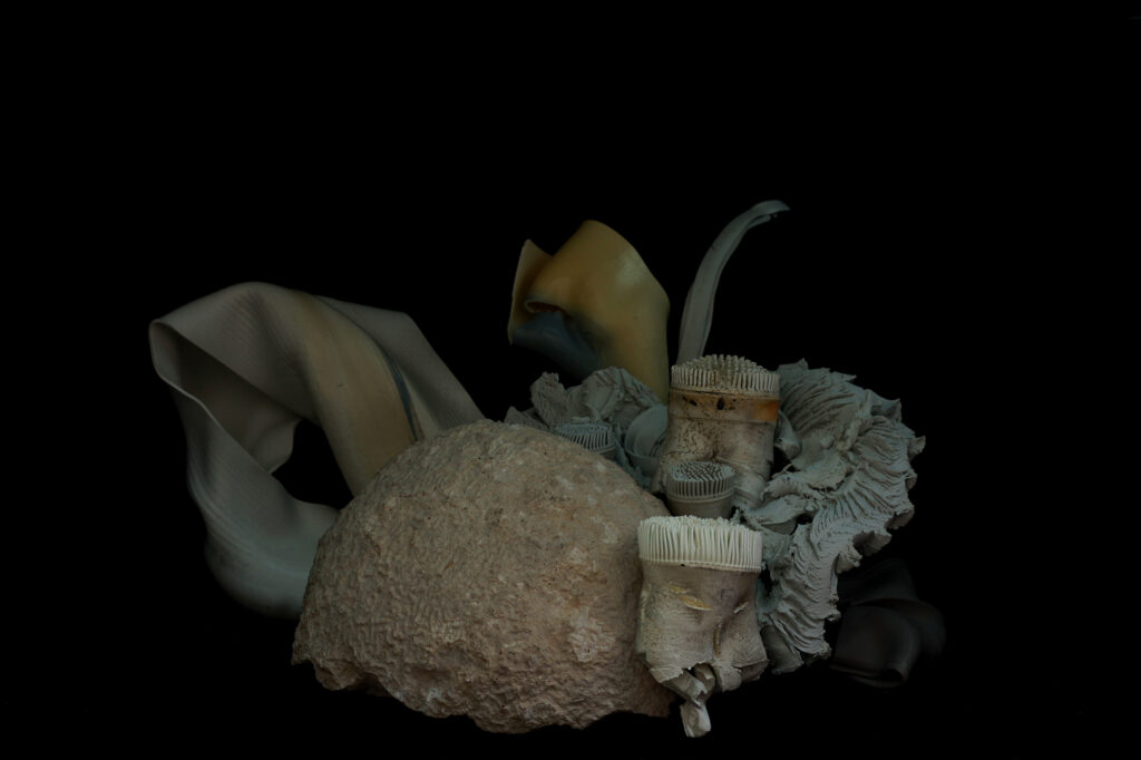 photo art coraux plastique